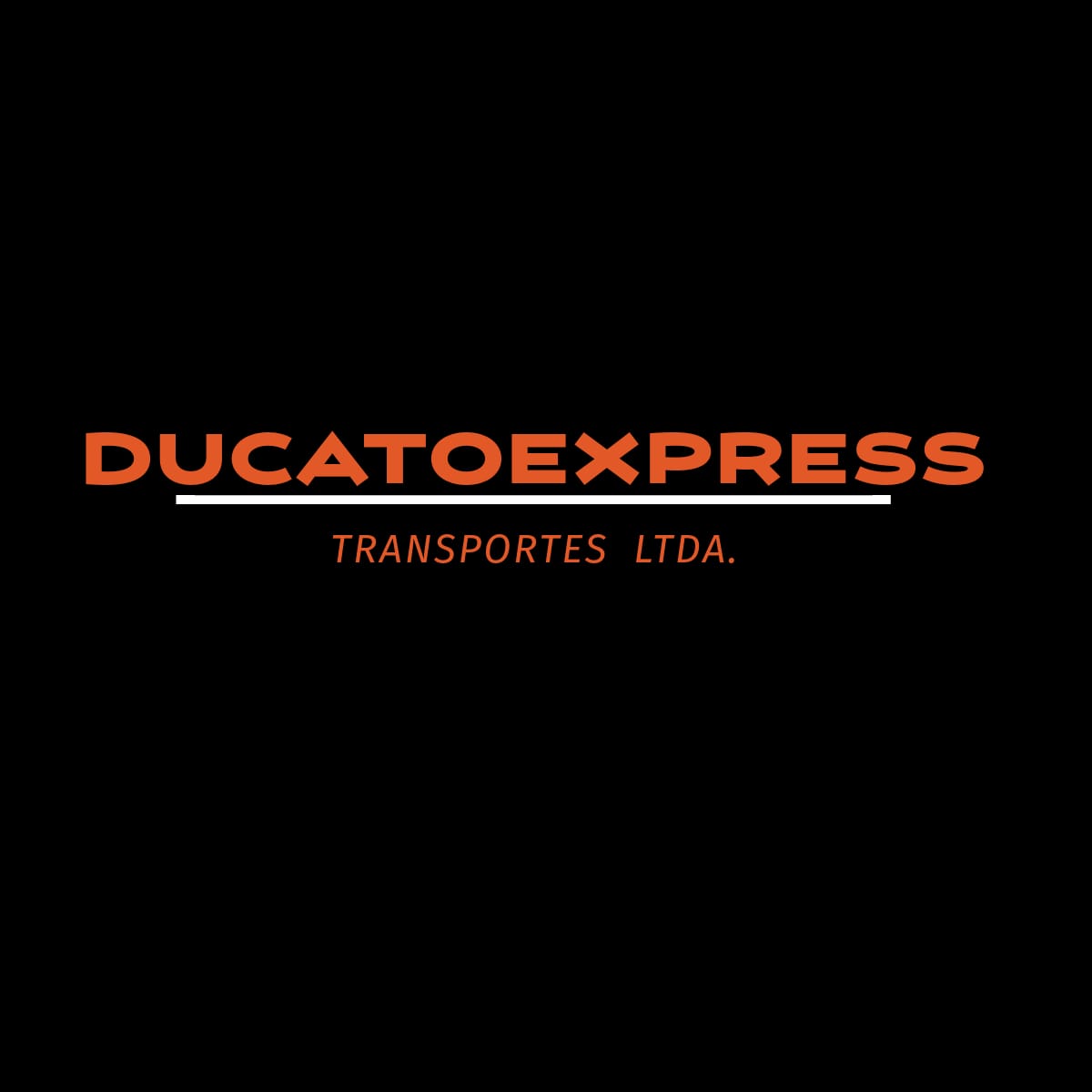 Logo Ducato Express Transportes Ltda