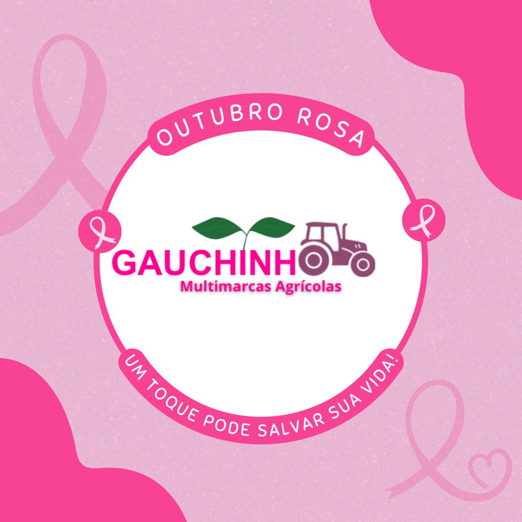 Logo GAUCHINHO FERRO E ACO